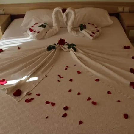 Hotel Star 2*