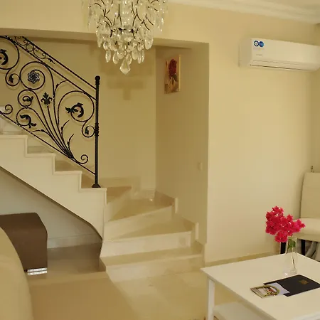 Star מלון קמר